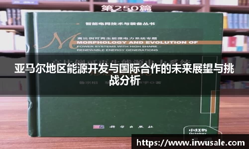 亚马尔地区能源开发与国际合作的未来展望与挑战分析